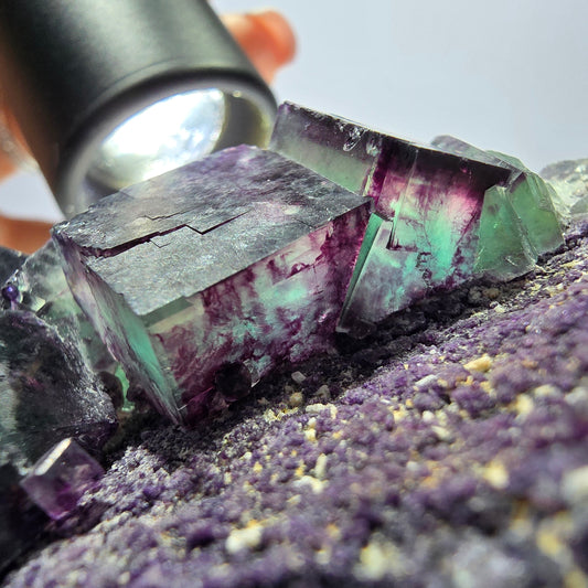 Spécimen de cube de fluorite fantôme, double face vert violet Okorusu Namibie 76*55*41 mm 
