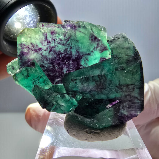 Spécimen de cube de fluorite fantôme, parqueté vert violet Okorusu, Namibie 40*31*20 mm 