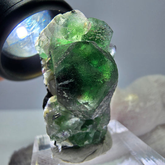 Fluorite fantôme, Tourmaline Schörl, Stade muscovite Erongo, Namibie 35*20*20mm 