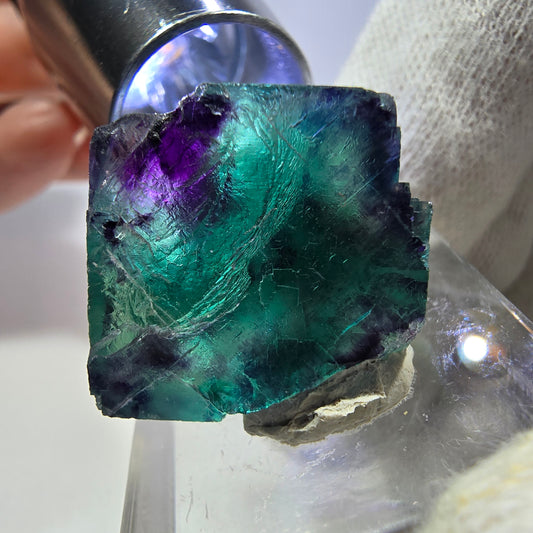 Seltener Phantom Fluorit Würfel, zonal grün lila Okorusu, Namibia 26*24*18mm