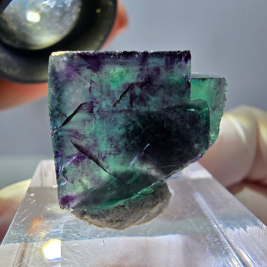 Phantom Fluorit Würfel Stufe, parkettiert grün lila Okorusu, Namibia 21*18*15mm