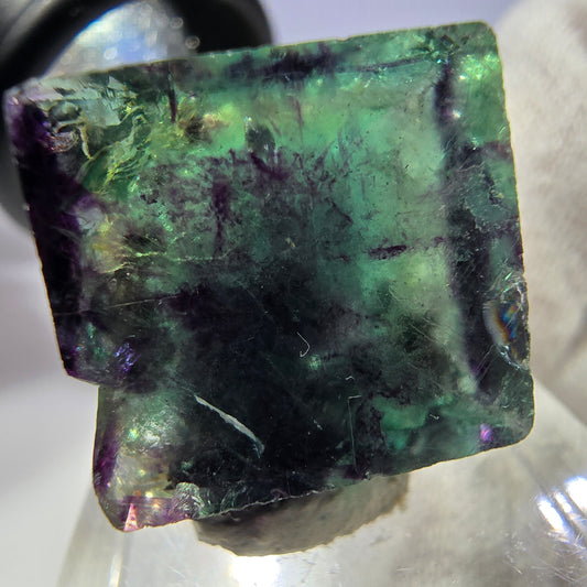 Spécimen rare de cube de fluorite fantôme, vert zonal et violet, Okorusu, Namibie, 24 x 23 x 11 mm 