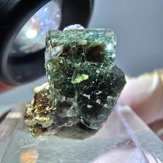 Spécimen de cube de fluorite fantôme, parquet vert Okorusu, Namibie 21 x 16 x 13 mm 