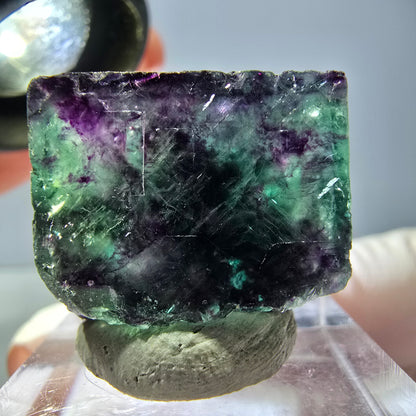 Phantom Fluorit Würfel parkettiert, grün lila Okorusu, Namibia 22*20*14mm