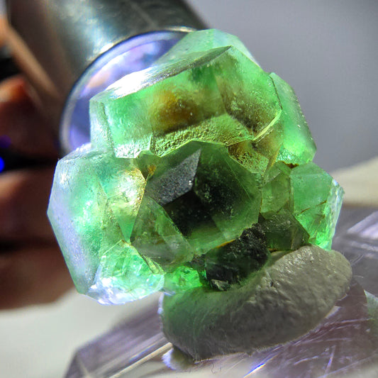 Cube hexagonal de fluorite fantôme, tourmaline Schorl d'Erongo, Namibie 17 x 16 x 13 mm 