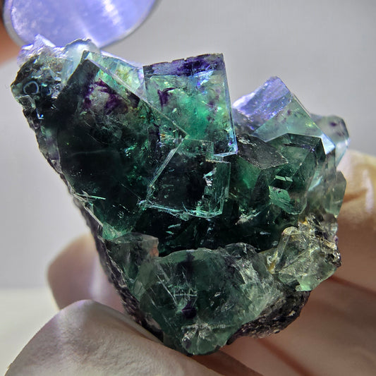 Spécimen de cube de fluorite fantôme, zonal, vert violet Okorusu, Namibie 35*34*29 mm 