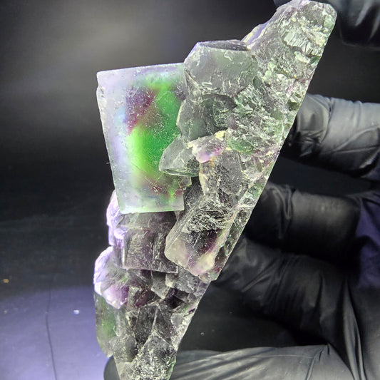 Rare niveau de cube de fluorite fantôme violet vert 86*46*31mm d'Okorusu, Namibie