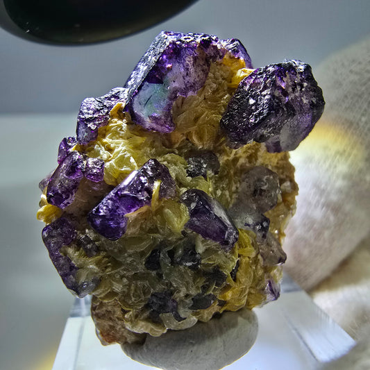 Cube de fluorite fantôme zonal, spécimen de muscovite, Erongo, Namibie, 35 x 26 x 13 mm 