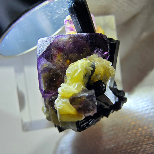 Spécimen de fluorite fantôme colorée, tourmaline scholle, muscovite, Erongo, Namibie, 25 x 20 x 16 mm 