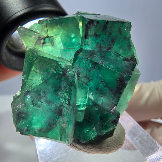 Spécimen de cube de fluorite fantôme, parqueté vert violet Okorusu, Namibie 32 x 30 x 20 mm 
