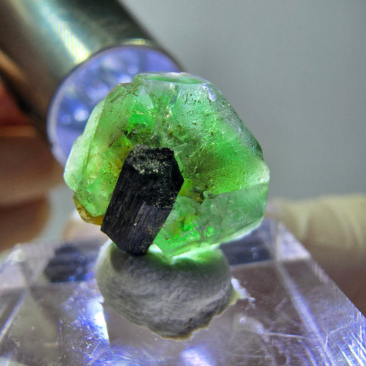 Cube hexagonal de fluorite fantôme, muscovite, tourmaline Schörl, Erongo, Namibie 14 x 13 x 12 mm 