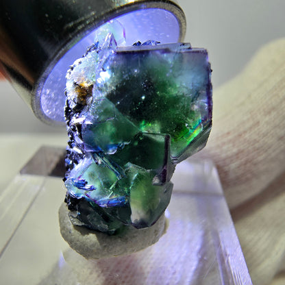 Cube de fluorite fantôme zonal, tourmaline muscovite Schörl hyalite Erongo, Namibie 21 x 15 x 15 mm 