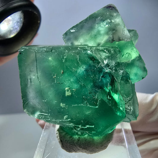 Rare spécimen de cube de fluorite fantôme, vert Okorusu, Namibie 40 x 28 x 20 mm 