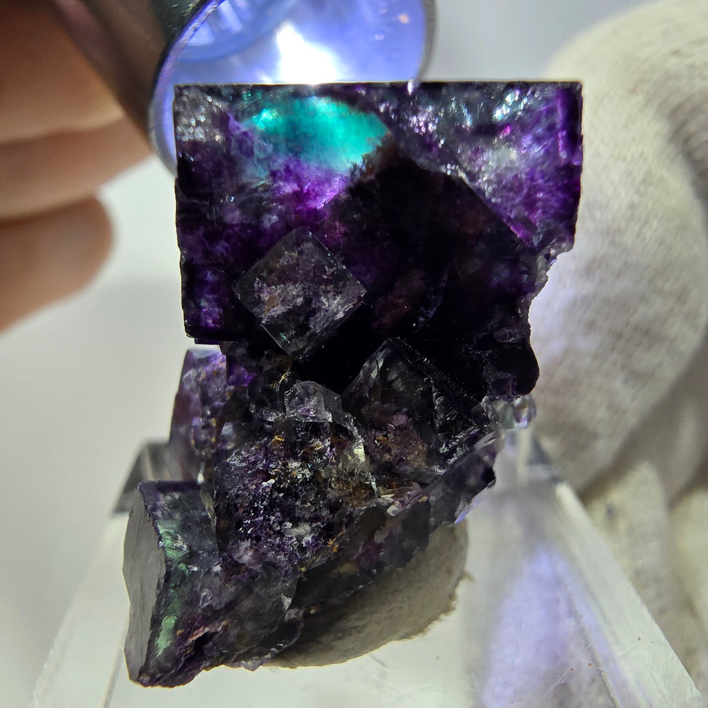 Spécimen rare de cube de fluorite fantôme, vert zonal et violet, Okorusu, Namibie, 32 x 29 x 18 mm 