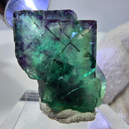 Spécimen de cube de fluorite fantôme parqueté zonal Okorusu, Namibie 34*22*16mm 