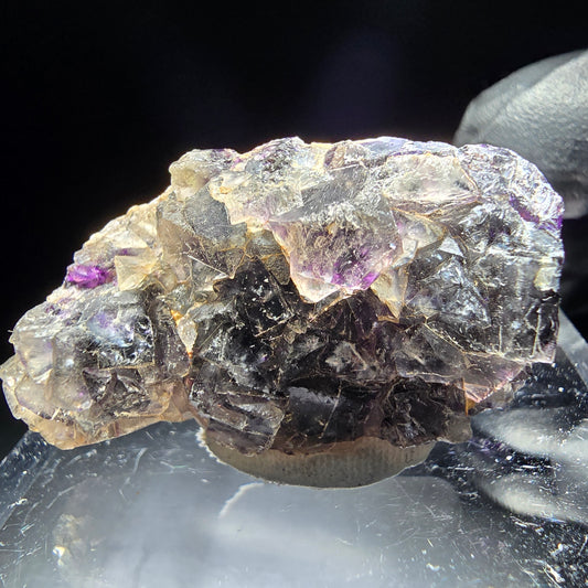 Phantom Fluorite Cube Tier Violet Blanc Okorusu, Namibie 41*21*12mm Collection