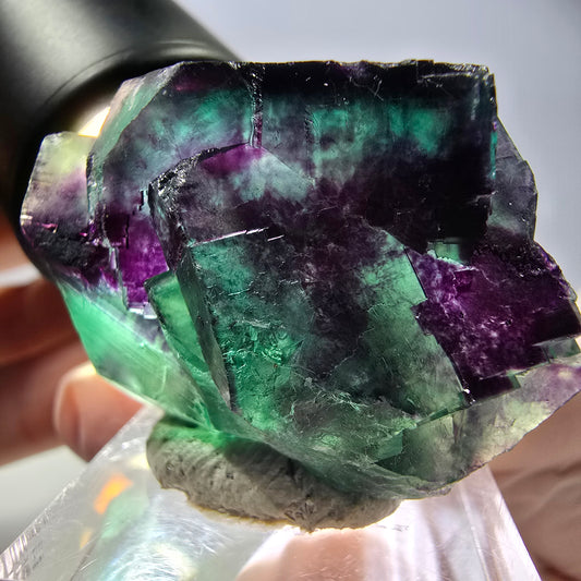 Phantom Fluorit Würfel Stufe, parkettiert grün lila Okorusu, Namibia 39*32*20mm