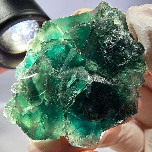 Spécimen de cube de fluorite fantôme transparente, vert Okorusu, Namibie 44 x 34 x 21 mm 