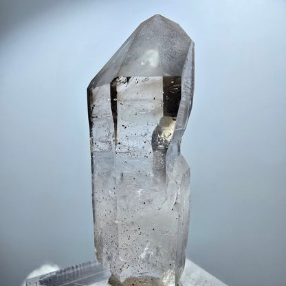 Sceptre Enhydro Phantom Smoky Quartz DT, 1x Bubble Goboboseb, Namibie 45*15*13mm 