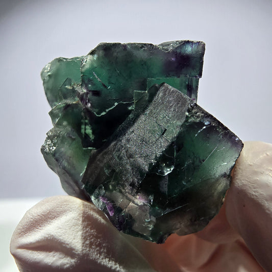 Spécimen de cube de fluorite fantôme parqueté vert violet Okorusu, Namibie 28*24*18mm 