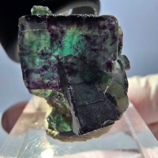 Spécimen de cube de fluorite fantôme, parqueté vert violet Okorusu, Namibie 24 x 19 x 17 mm 