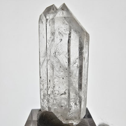 Sceptre DT en quartz fumé squelette Enhydro, 1x pochette Saint-Valentin à bulles, Namibie 50 x 20 x 14 mm 
