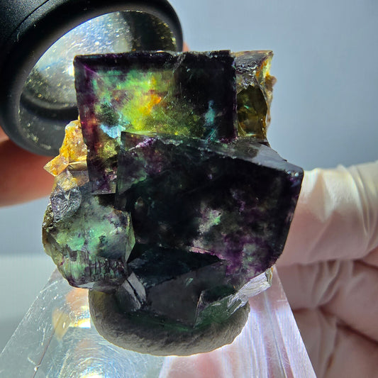 Phantom Fluorit Würfel Stufe, parkettiert grün lila Okorusu, Namibia 39*25*18mm