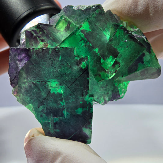 Spécimen de cube de fluorite fantôme parqueté vert violet Okorusu, Namibie 49*41*29mm 