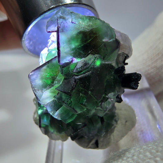 Fluorite fantôme zonale, muscovite, tourmaline Schörl, quartz fumé Erongo, Namibie 31*18*13mm 