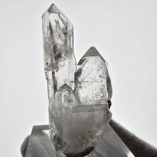 Sceptre fantôme squelette en quartz fumé, poche Saint-Valentin, Namibie, 70 x 34 x 18 mm 