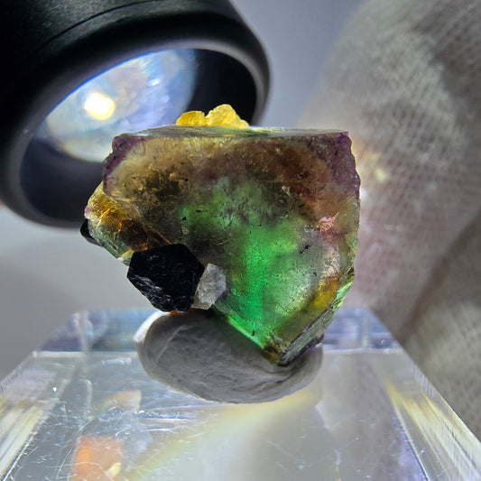 Cubes de fluorite fantôme colorés, spécimen de tourmaline Schorl, Erongo, Namibie, 17 x 16 x 13 mm 