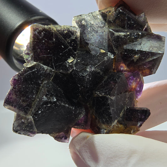 Rare spécimen de cube de fluorite fantôme, vert violet jaune Okorusu, Namibie 48 x 39 x 14 mm 