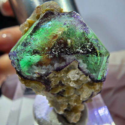 Cube hexagonal de fluorite fantôme, muscovite, tourmaline Schörl, Erongo, Namibie 27 x 20 x 18 mm 