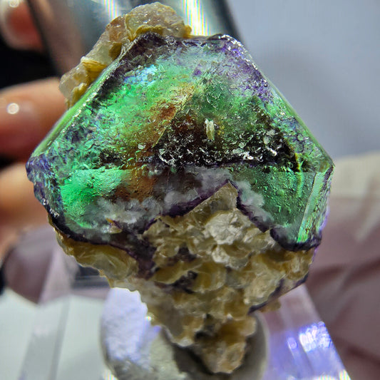 Cube hexagonal de fluorite fantôme, muscovite, tourmaline Schörl, Erongo, Namibie 27 x 20 x 18 mm 
