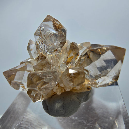 Amas de quartz fumé fantôme transparent, Goboboseb, Namibie, 22 x 18 x 17 mm 
