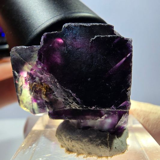 Spécimen de cube de fluorite fantôme, parqueté vert violet Okorusu, Namibie 27*23*17 mm 
