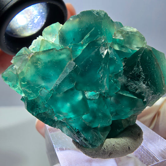 Spécimen de cube de fluorite fantôme, parquet vert Okorusu, Namibie 41*36*13 mm 