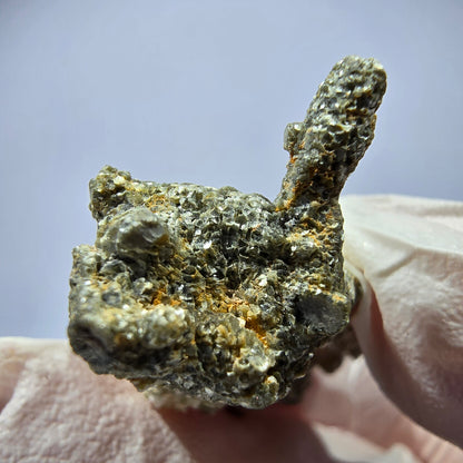 Rare spécimen de muscovite et de tourmaline Schorl, éclat métallique, Erongo, Namibie 40*28*19 mm 
