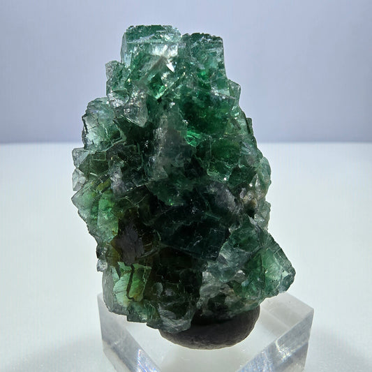 Phantom Fluorit Würfel Stufe parkettiert grün Okorusu, Namibia 49*33*22mm
