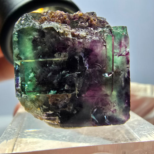 Spécimen de cube de fluorite fantôme, parqueté vert violet Okorusu, Namibie 22 x 20 x 19 mm 
