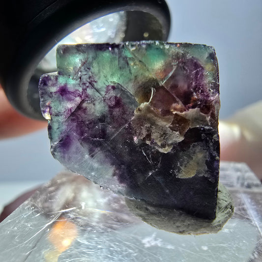 Phantom Fluorit Würfel Stufe, parkettiert grün lila Okorusu, Namibia 20*17*17mm