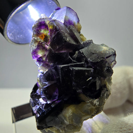 Spécimen de fluorite fantôme colorée, tourmaline schol, muscovite, quartz fumé, Erongo, Namibie, 35 x 25 x 20 mm 