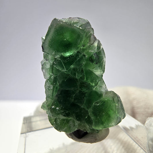 Cube de fluorite fantôme, spécimen de tourmaline Schorl, Erongo, Namibie, 26 x 15 x 15 mm 