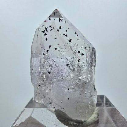 Mine d'améthyste fantôme Enhydro Harlequin, Goboboseb, Namibie, 29 x 20 x 13 mm 