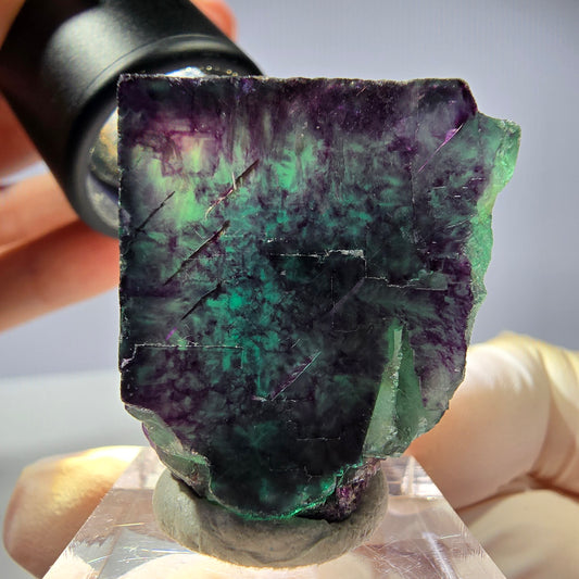 Rare cube de fluorite fantôme parqueté vert violet Okorusu Namibie 31*27*21mm 