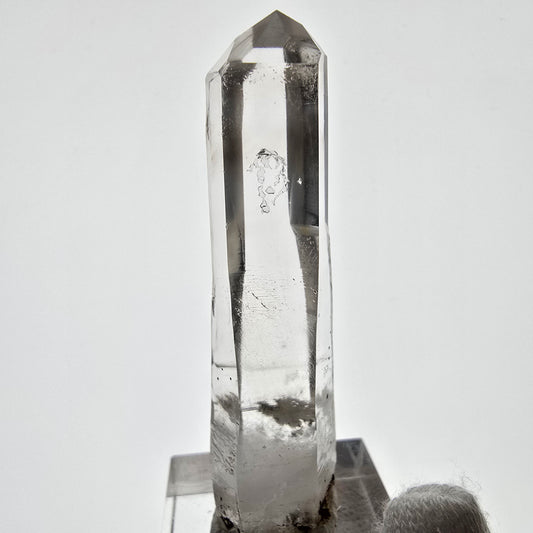 Skeleton Phantom Smoky Quartz Scepter Valentine Pocket, Namibia 59*16*12mm 
