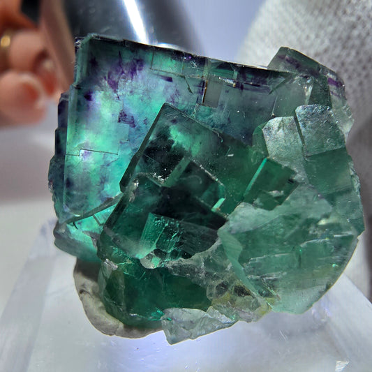 Seltene Phantom Fluorit Würfel Stufe zonal grün lila Okorusu, Namibia 30*26*18mm