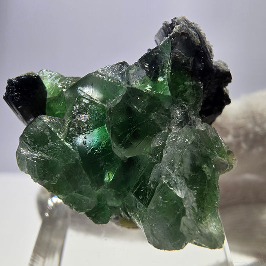 Fluorite fantôme, tourmaline Schörl, muscovite, hyalite, stade Erongo, Namibie 27*25*20 mm 