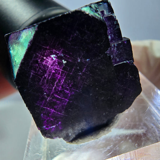 Phantom Fluorit Würfel Stufe grün lila zonal 11:11 Angel Pocket, Namibia 20*19*19mm