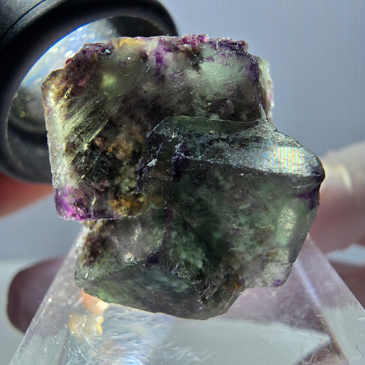 Spécimen de cube de fluorite fantôme, vert violet, Okorusu, Namibie, 24 x 20 x 20 mm 